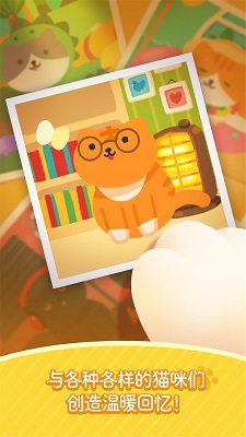 猫猫咪呀 猫猫咪呀