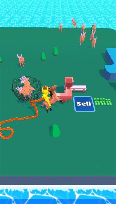 动物捕获 动物捕获