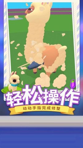 森林运动会 森林运动会