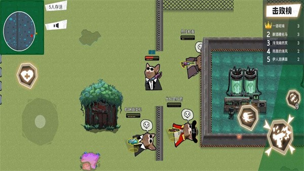 进击的小动物 进击的小动物