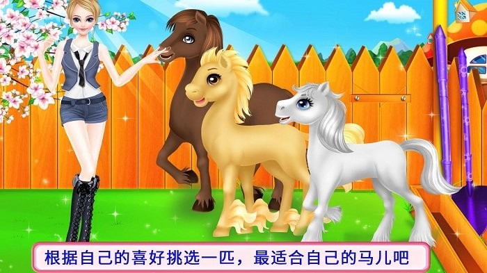 骏马护理装扮 骏马护理装扮