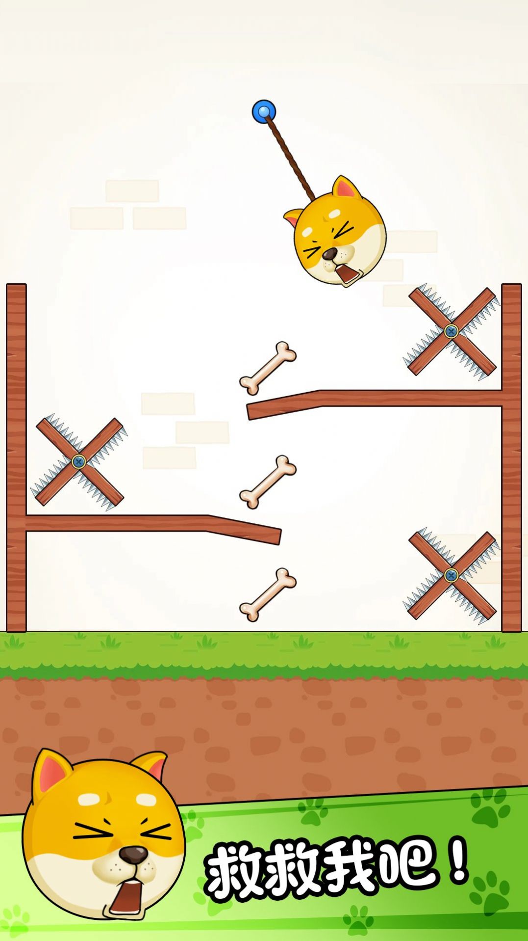 菜狗闯关 菜狗闯关