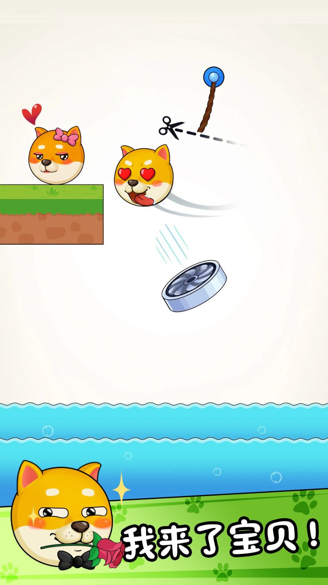 菜狗闯关 菜狗闯关