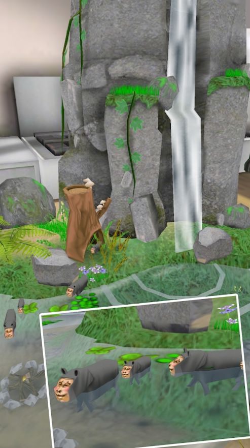 罕见生物的水族箱 罕见生物的水族箱