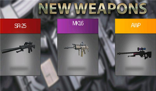 皇家行动打击 皇家行动打击