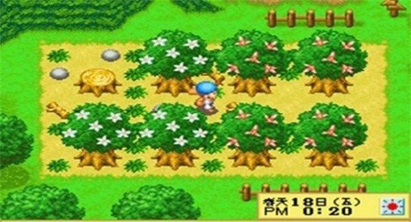 牧场物语风之集市 牧场物语风之集市