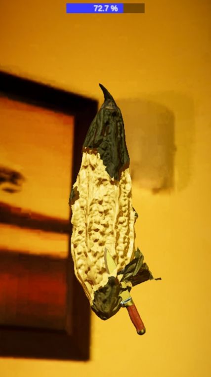 完美去皮 完美去皮