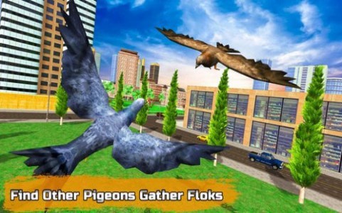 鸽子模拟 鸽子模拟