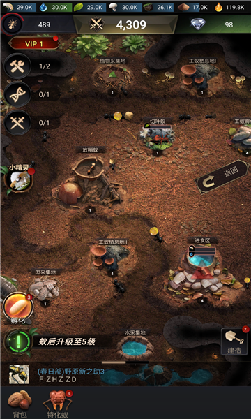 小小蚁国蚁族时代 小小蚁国蚁族时代