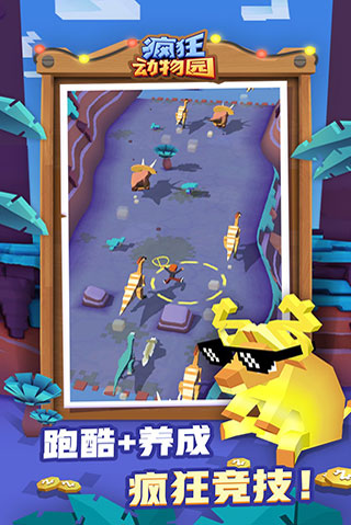 疯狂动物园 疯狂动物园