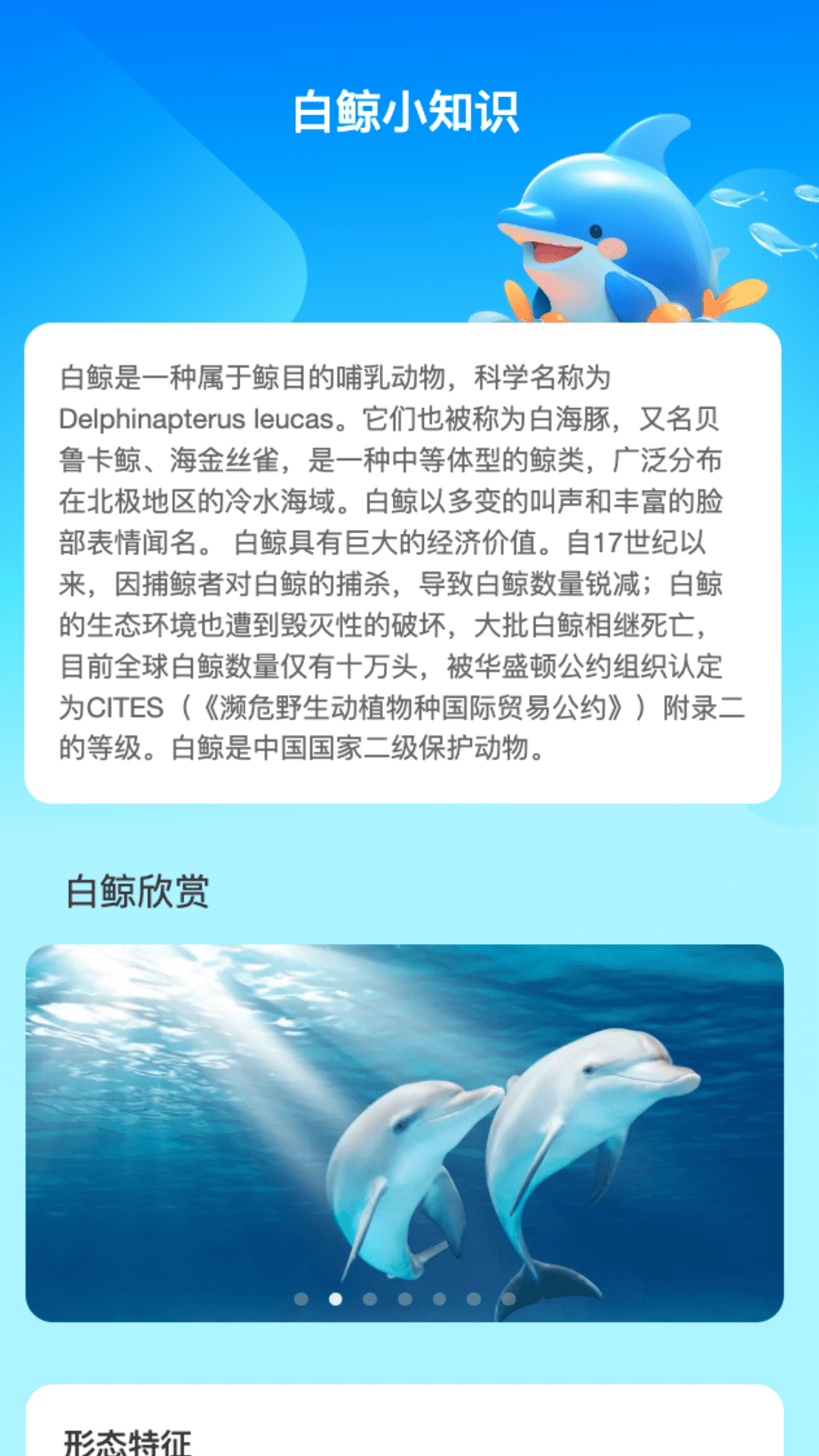 白鲸流量管理 白鲸流量管理