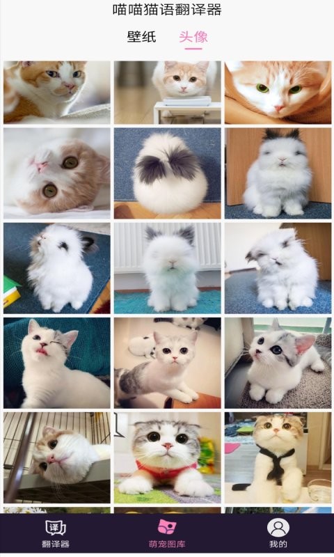喵喵猫语翻译器 喵喵猫语翻译器