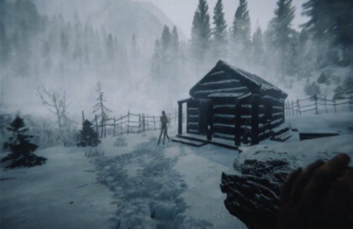 森林之子 森林之子