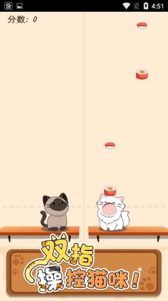 猫咪喵喵 猫咪喵喵