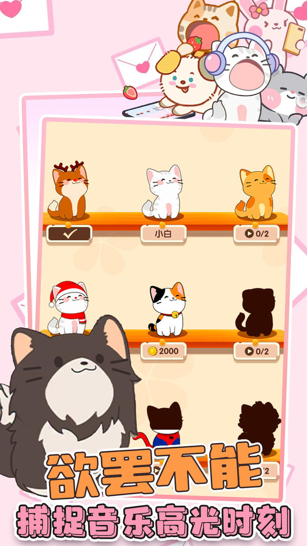 喵咪二重奏 喵咪二重奏