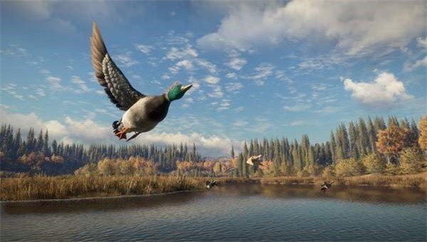 猎人荒野的召唤 猎人荒野的召唤