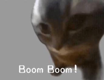 嚼嚼嚼表情包小猫 嚼嚼嚼表情包小猫