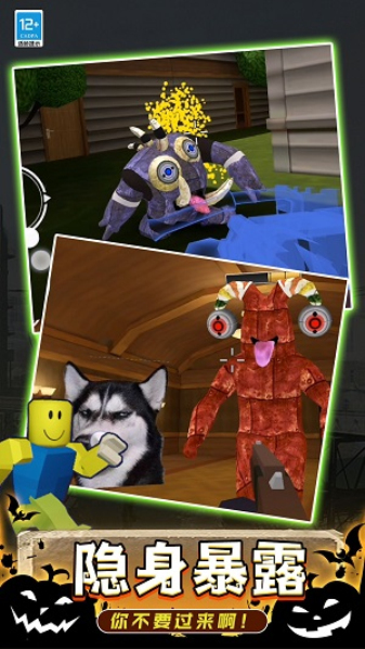 后室枪战 后室枪战