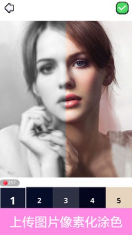 数字涂色填色 数字涂色填色