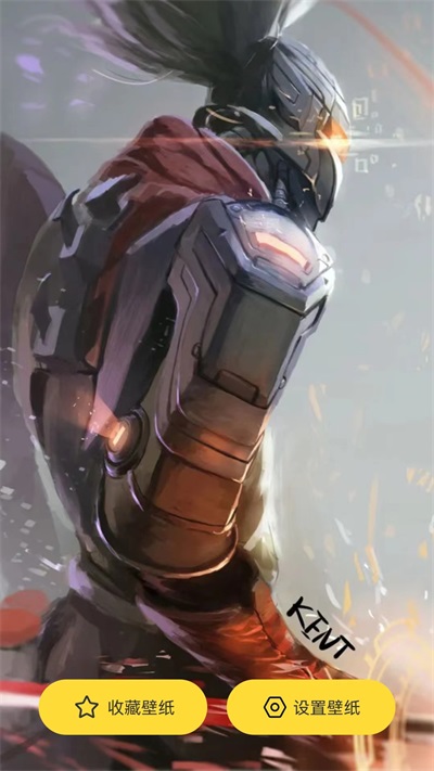 小熊视界壁纸 小熊视界壁纸