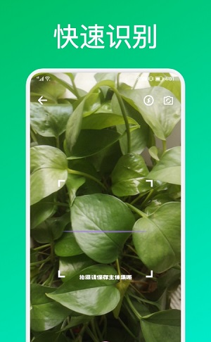 识花君植物识别 识花君植物识别