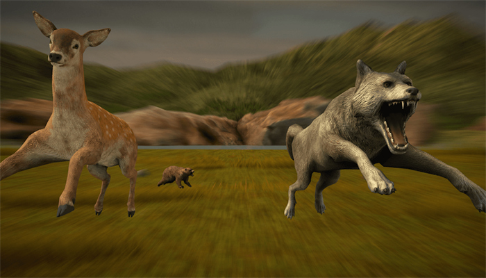 狙击动物狩猎 狙击动物狩猎