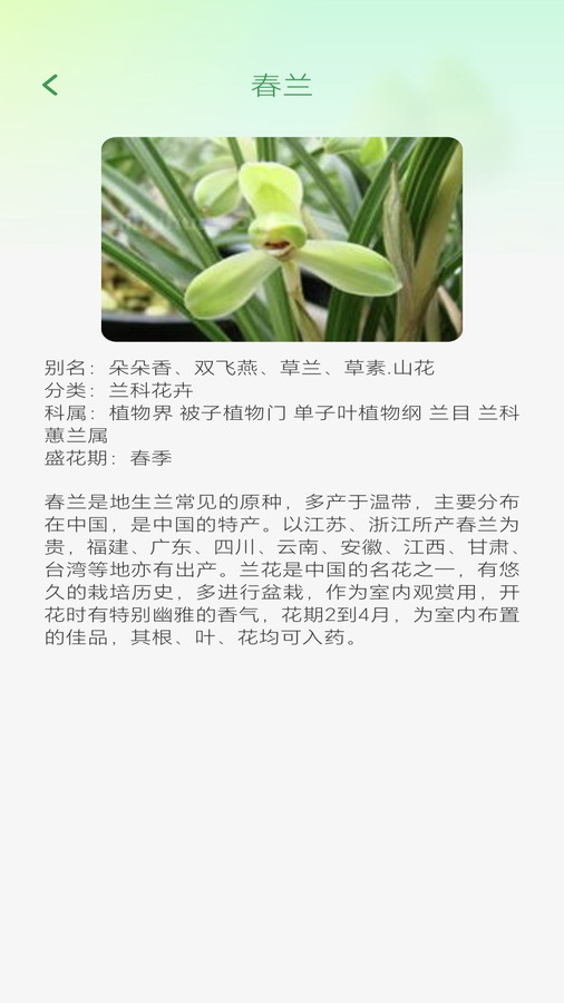 妙看四季 妙看四季