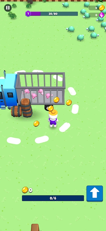 动物大混乱 动物大混乱