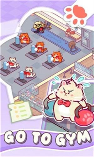 猫咪健身房