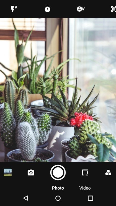 超强变焦相机 超强变焦相机