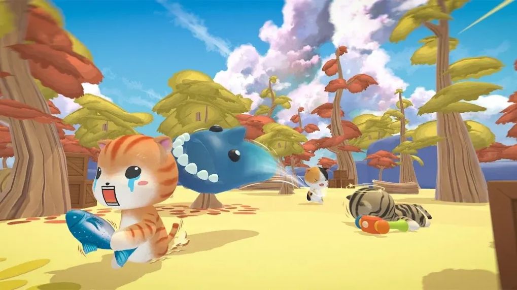 猫猫回旋镖 猫猫回旋镖